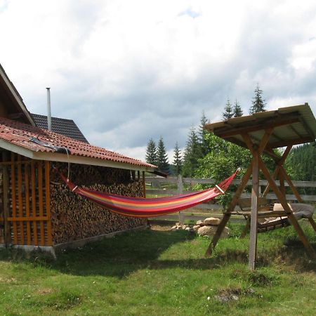 Podina Guest House Poiana Horea Buitenkant foto
