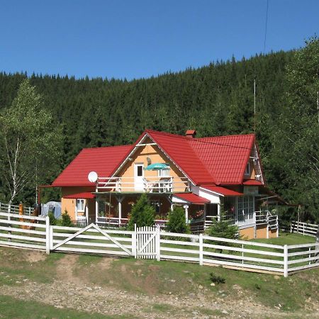 Podina Guest House Poiana Horea Buitenkant foto