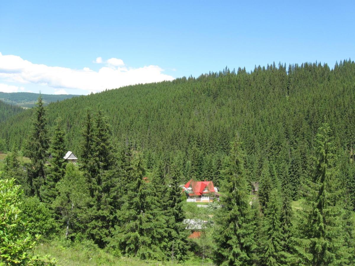 Podina Guest House Poiana Horea Buitenkant foto