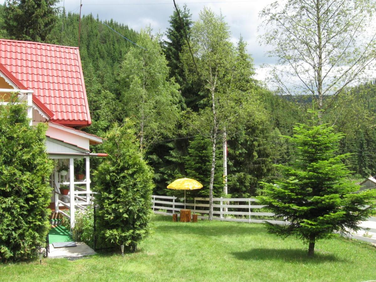 Podina Guest House Poiana Horea Buitenkant foto
