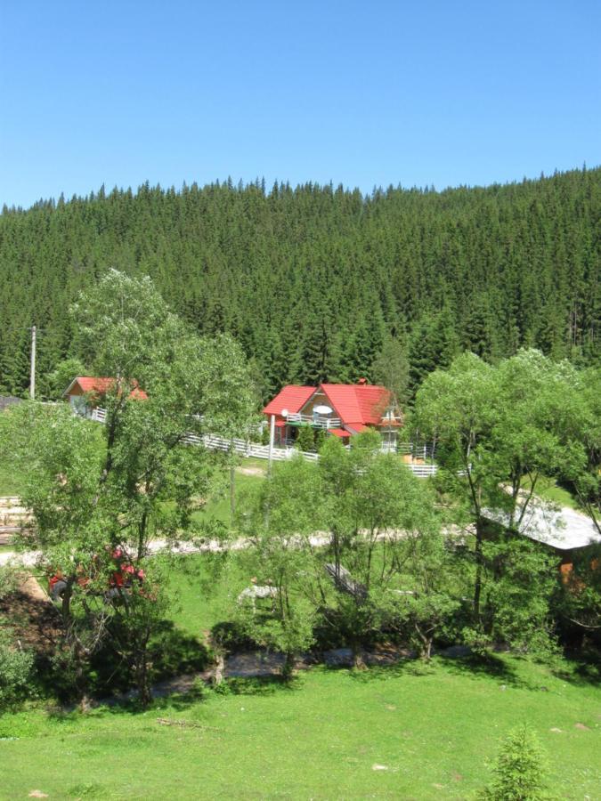 Podina Guest House Poiana Horea Buitenkant foto