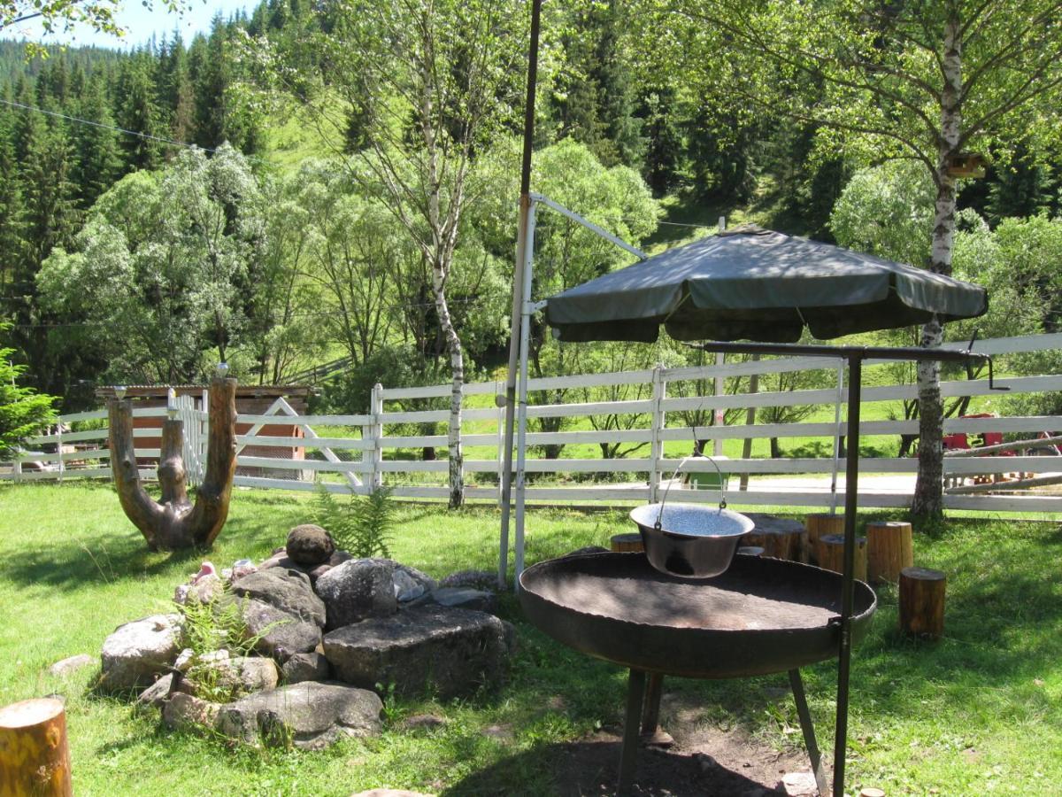 Podina Guest House Poiana Horea Buitenkant foto