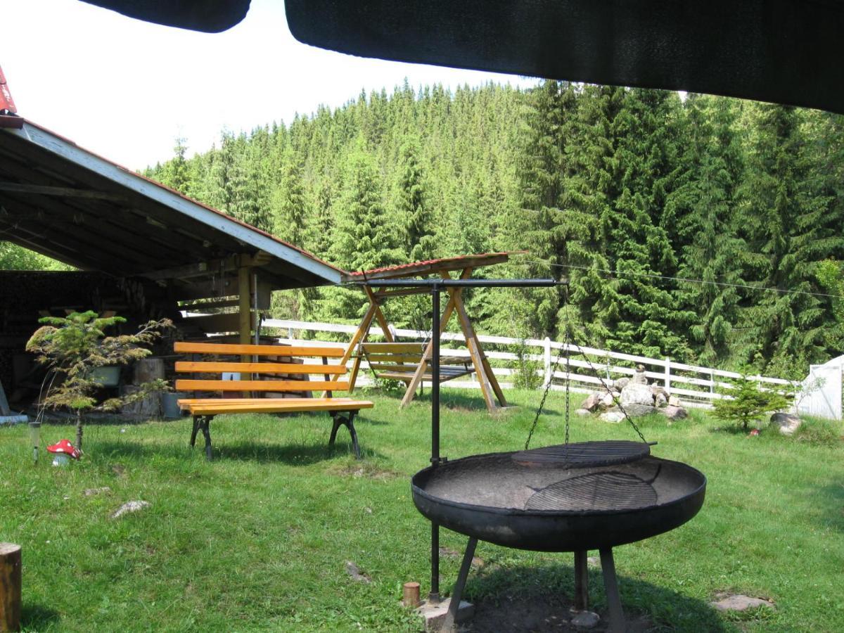 Podina Guest House Poiana Horea Buitenkant foto