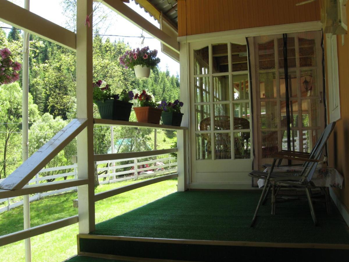 Podina Guest House Poiana Horea Buitenkant foto