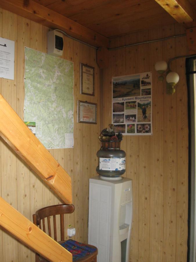 Podina Guest House Poiana Horea Buitenkant foto