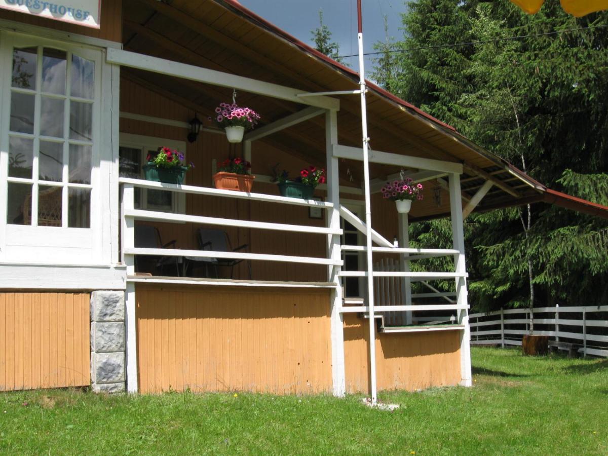Podina Guest House Poiana Horea Buitenkant foto