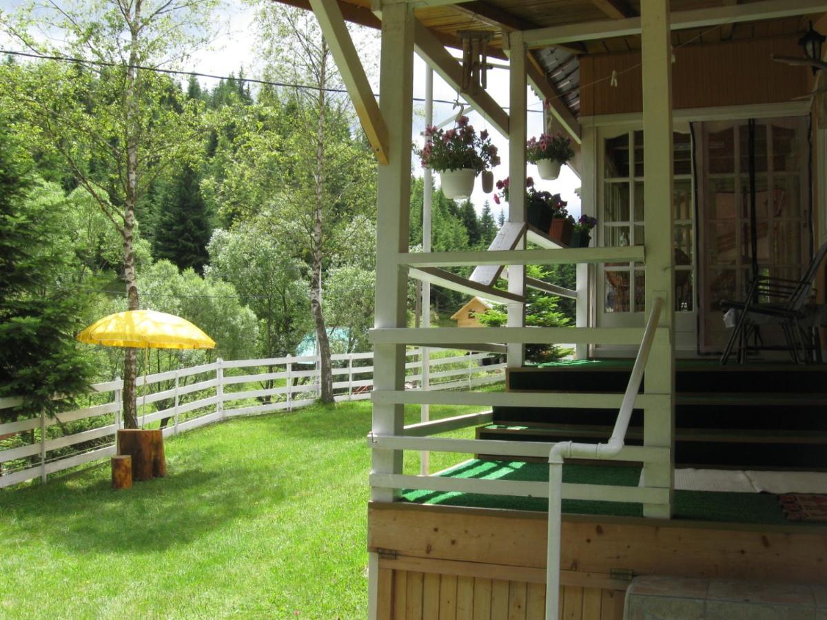 Podina Guest House Poiana Horea Buitenkant foto