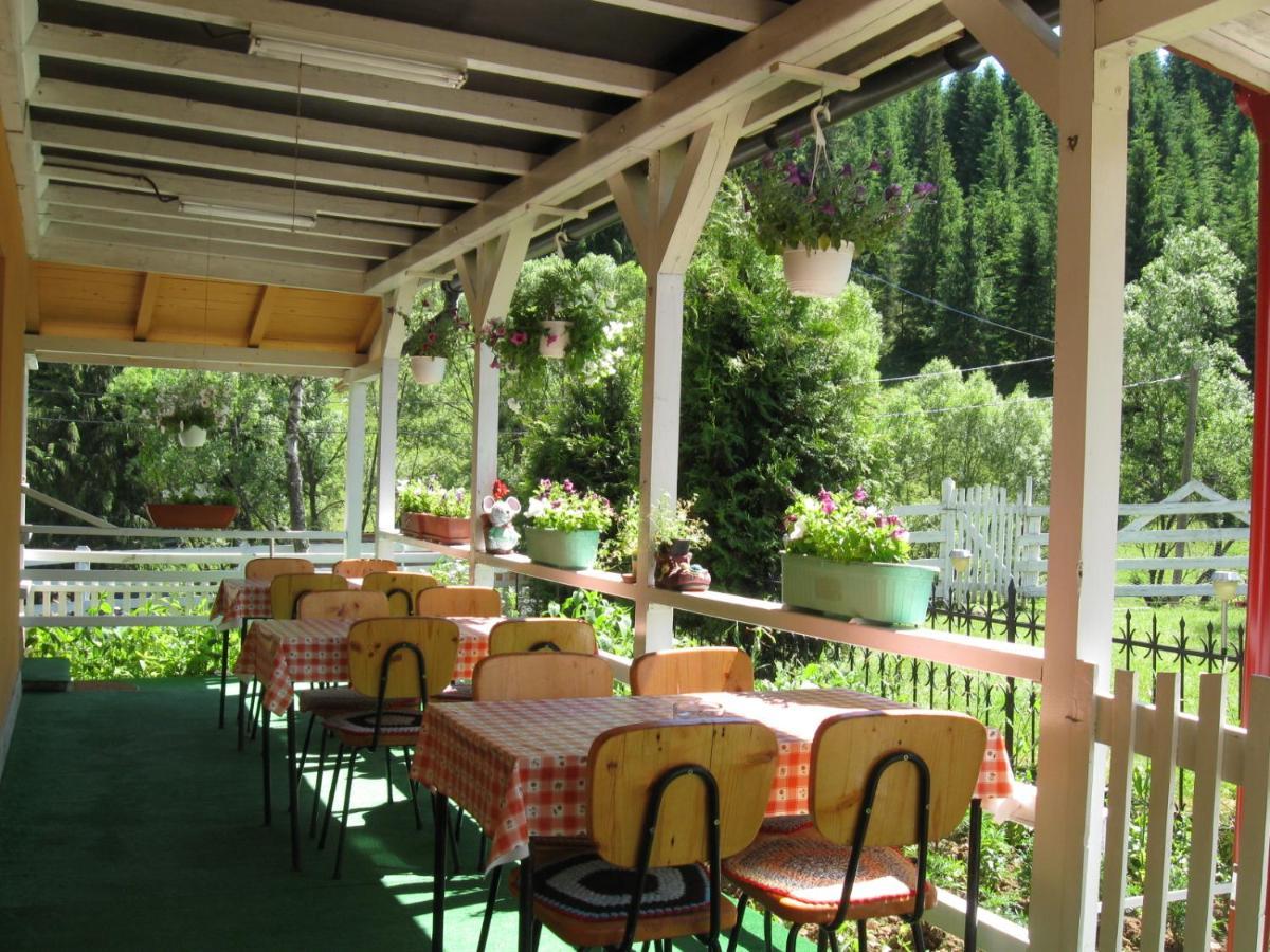 Podina Guest House Poiana Horea Buitenkant foto