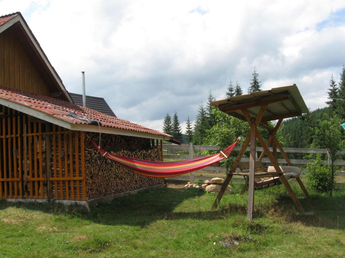 Podina Guest House Poiana Horea Buitenkant foto