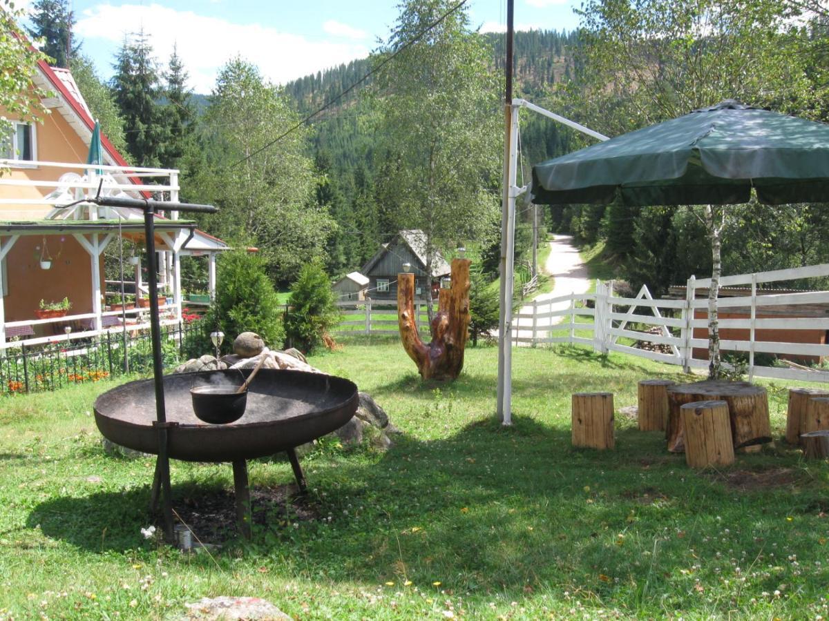 Podina Guest House Poiana Horea Buitenkant foto